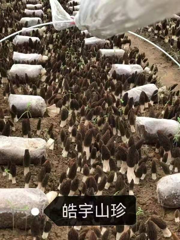 &#20048;&#40060;&#32593;&#39029;&#29256;&#45;&#20048;&#40060;&#40;&#20013;&#22269;&#41;&#23448;&#26041;
